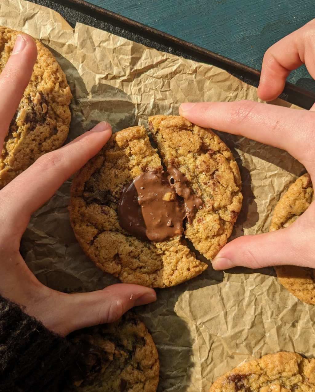 Chocolate peanut butter cookies&nbsp;(plant-based)